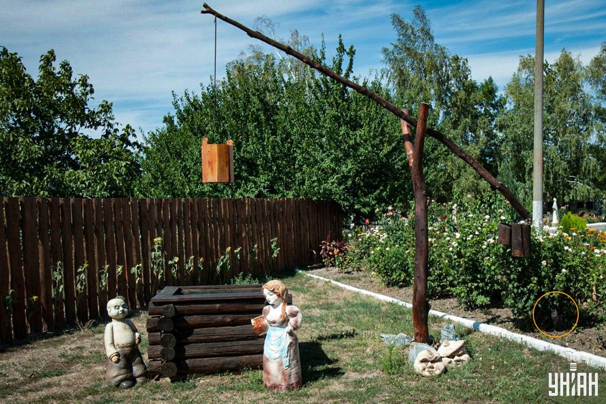 Katten var i blomsterbedet / Moje-collage